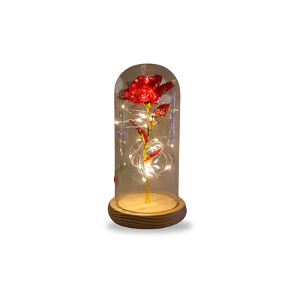 Flower Dome with LED Light