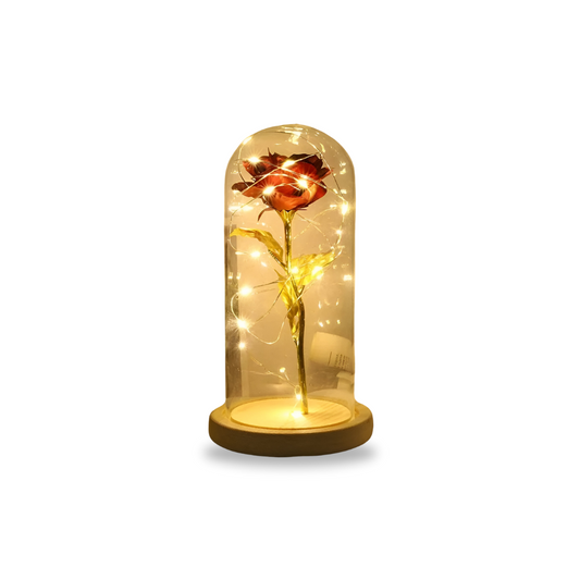 Flower Dome with LED Light